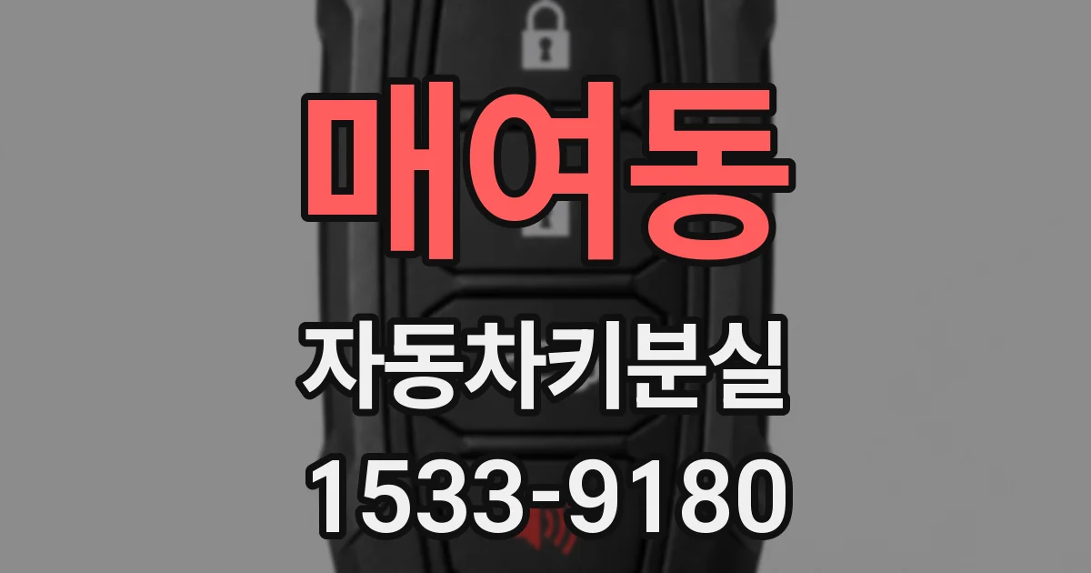 매여동 자동차키분실