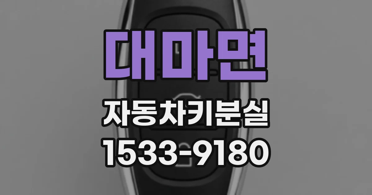 대마면 자동차키분실