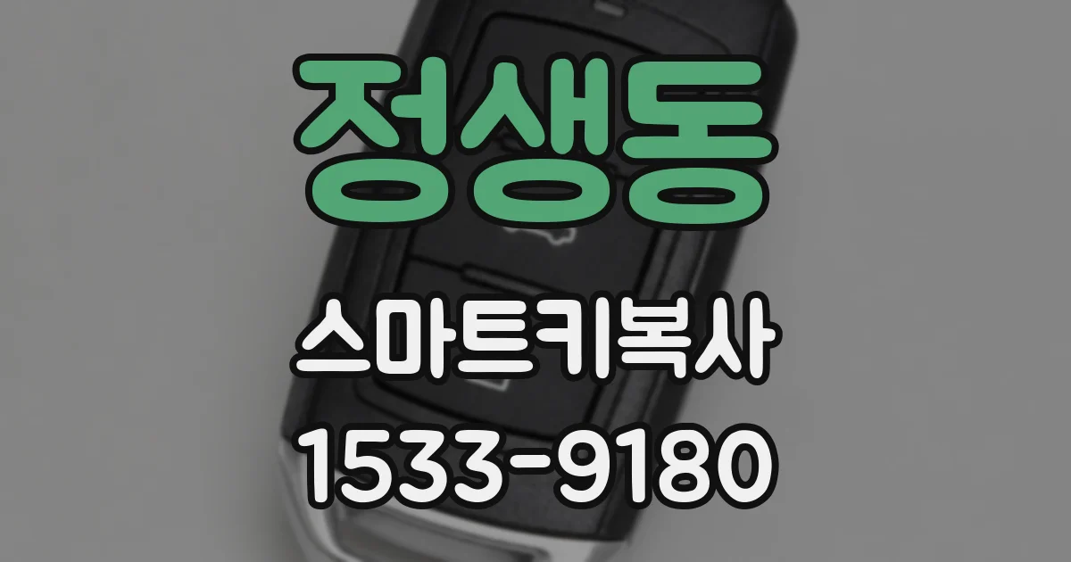 정생동 스마트키복사