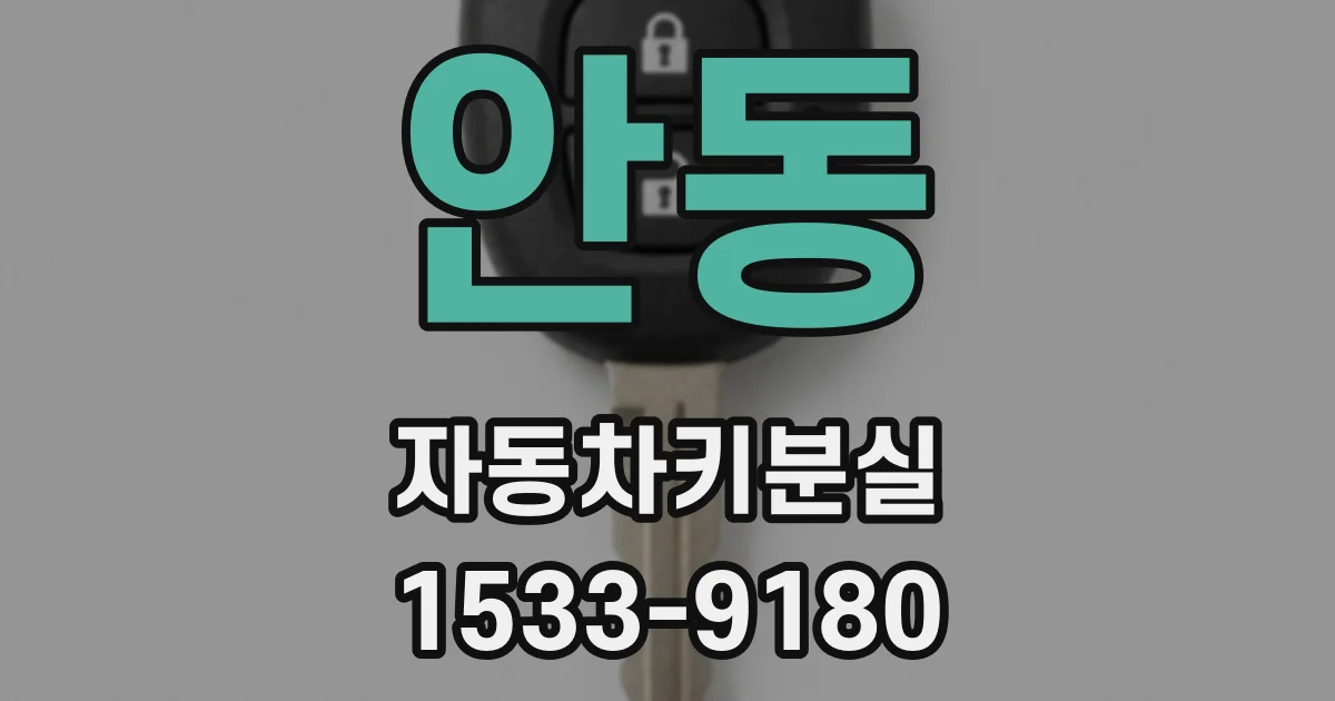 안동 자동차키분실
