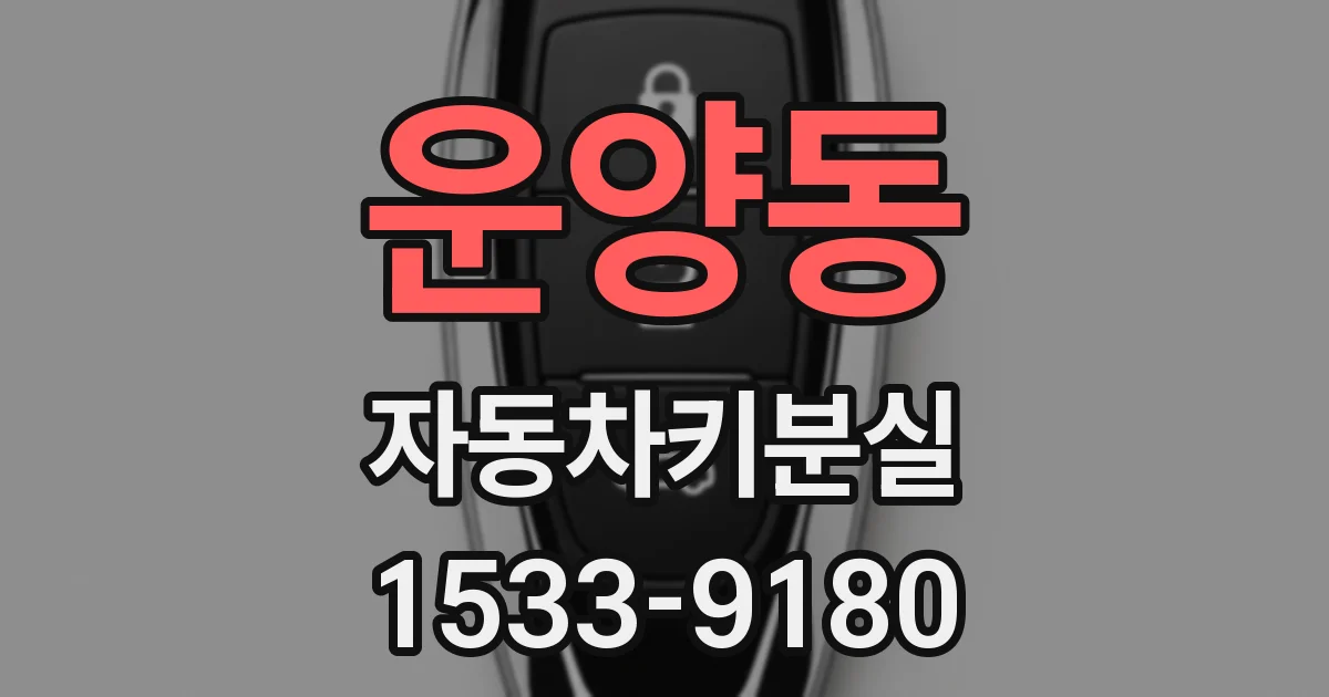 운양동 자동차키분실