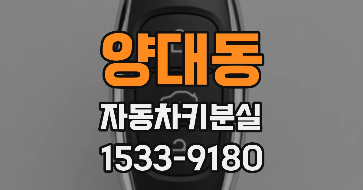 양대동 자동차키분실