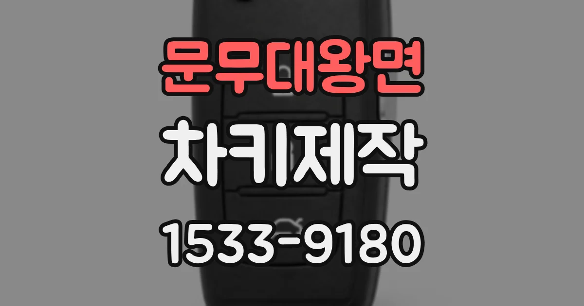 문무대왕면 차키제작