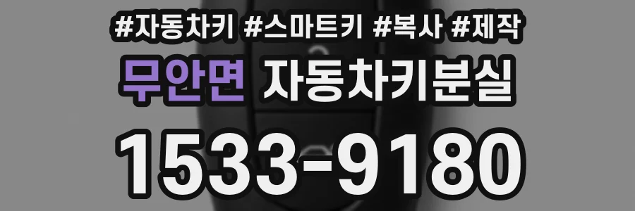 무안면 자동차키분실