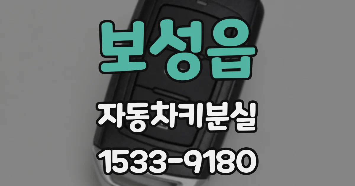 보성읍 자동차키분실