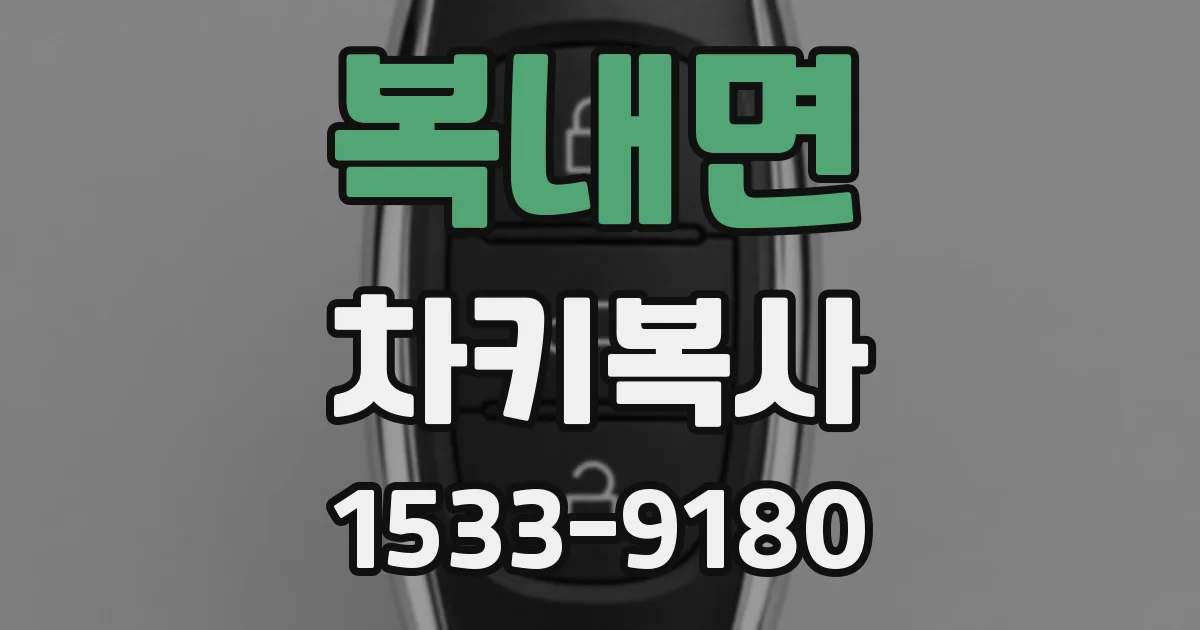 복내면 차키복사