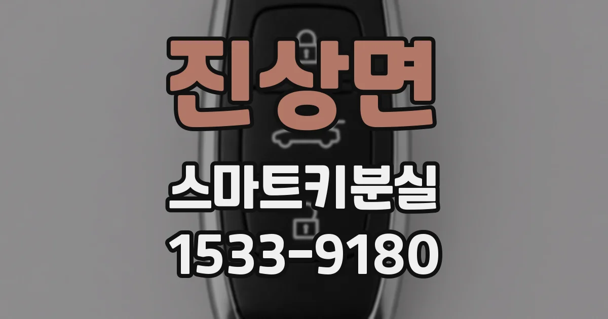 진상면 스마트키분실