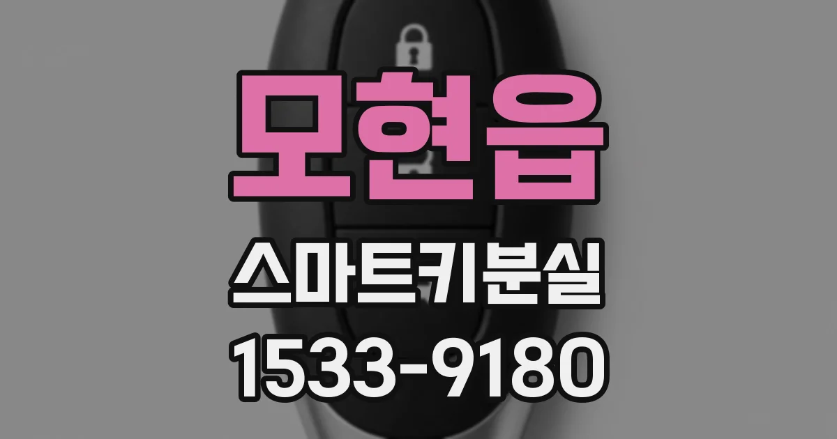 모현읍 스마트키분실