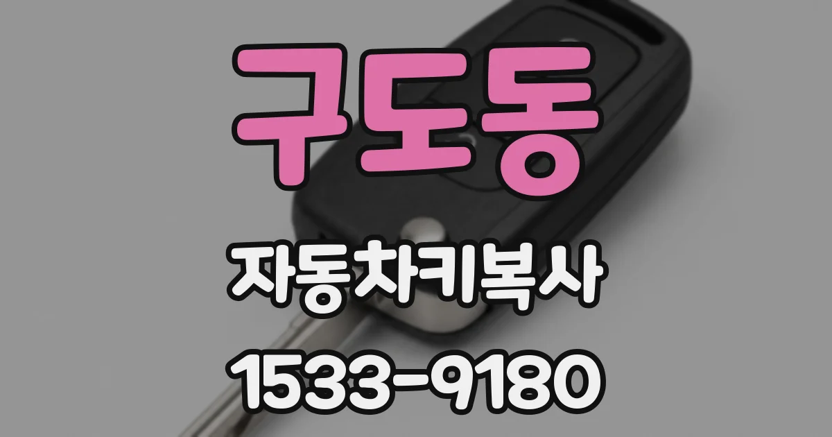 구도동 자동차키복사