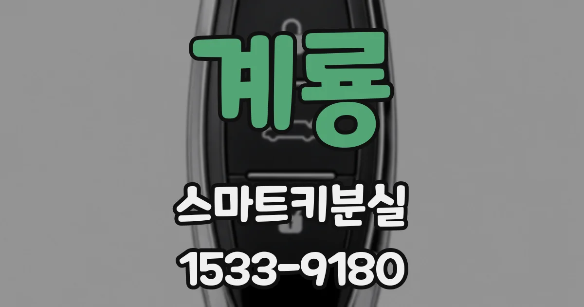 계룡 스마트키분실