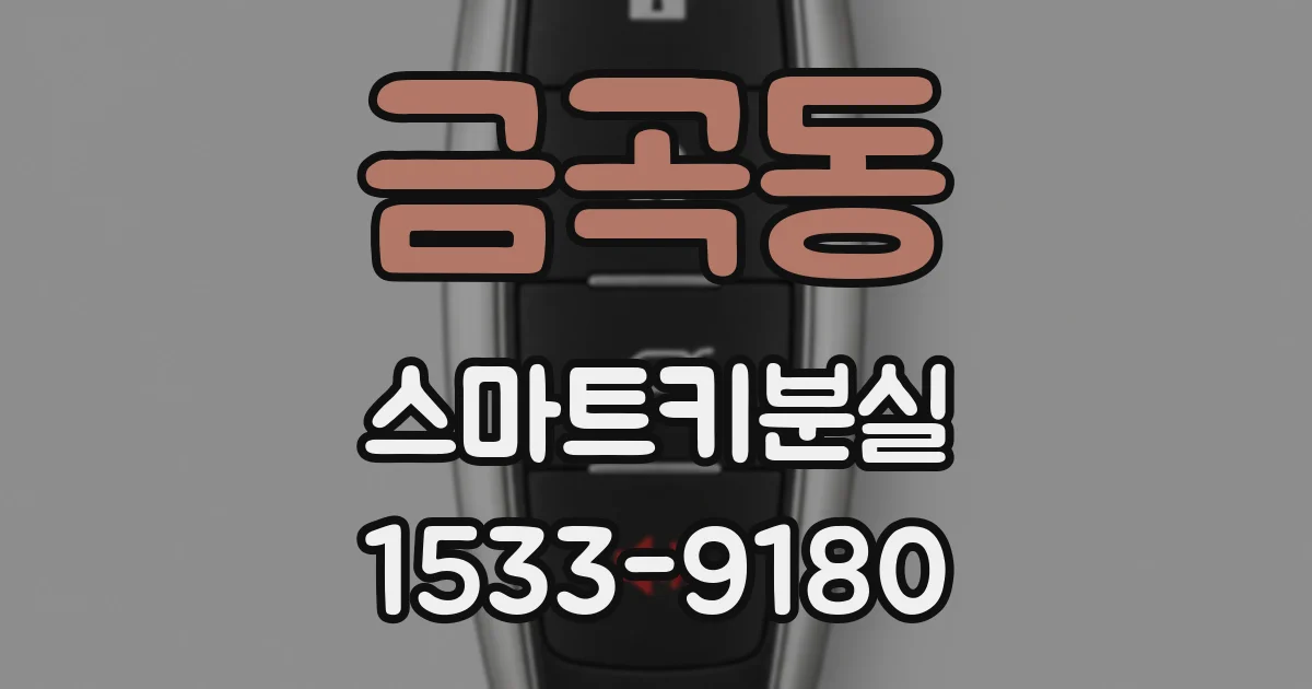 금곡동 스마트키분실