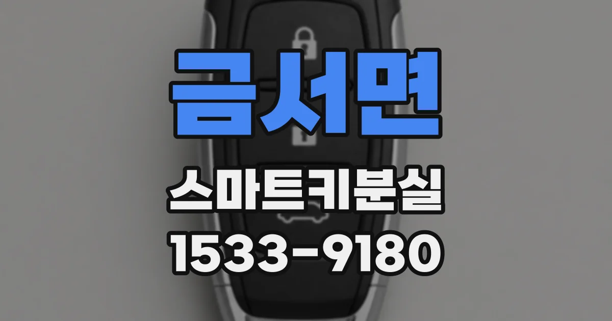 금서면 스마트키분실