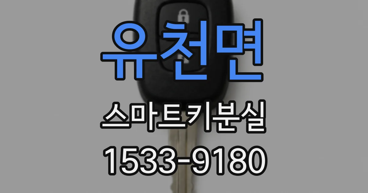 유천면 스마트키분실