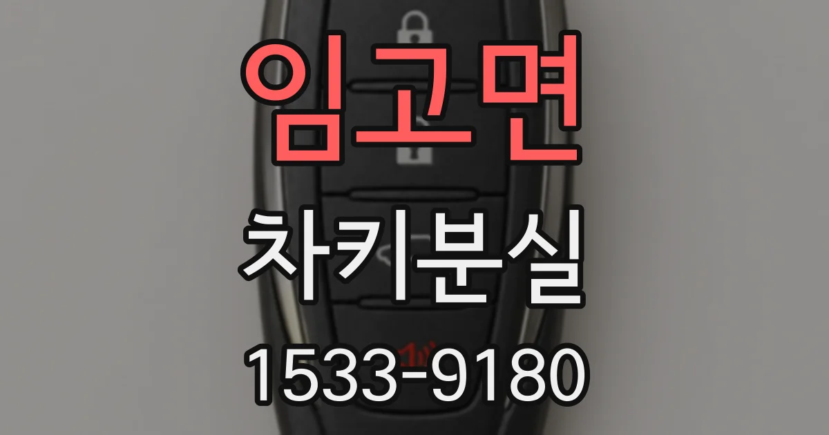 임고면 차키분실