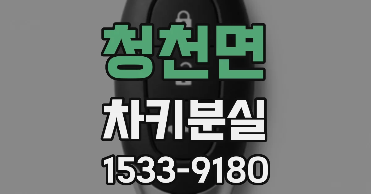 청천면 차키분실