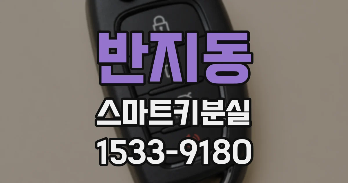반지동 스마트키분실