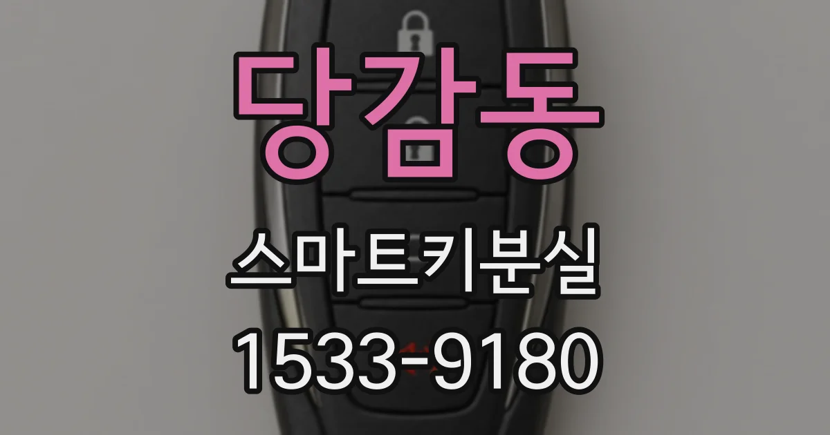 당감동 스마트키분실