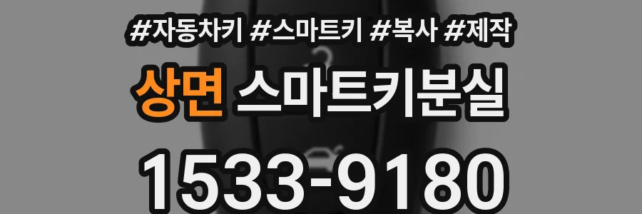 상면 스마트키분실