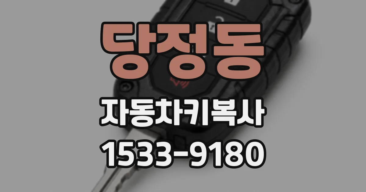 당정동 자동차키복사