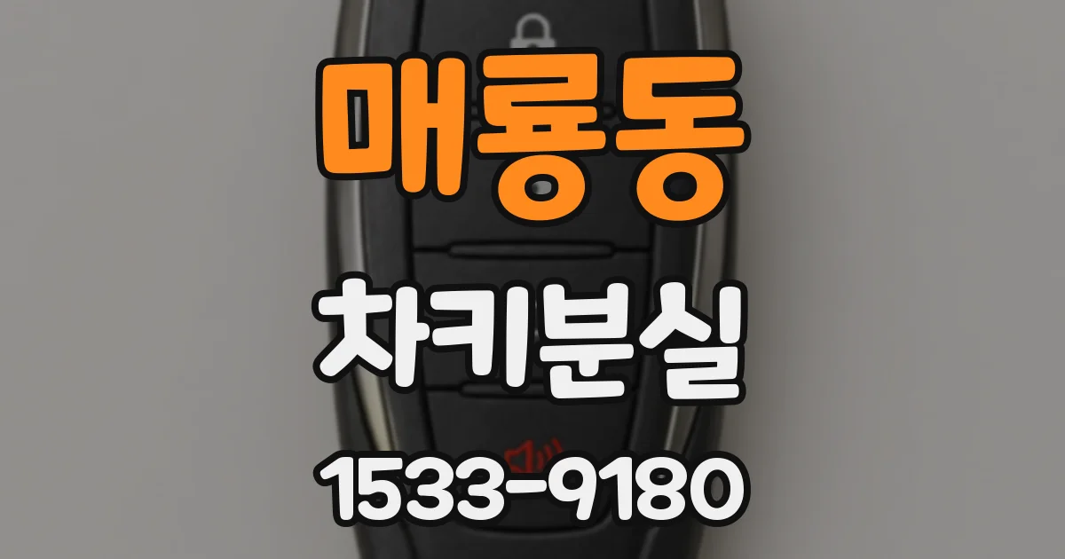 매룡동 차키분실