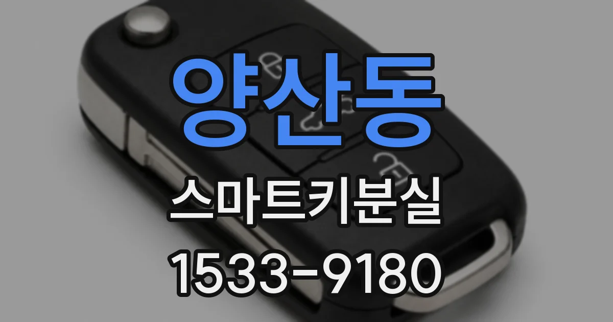 양산동 스마트키분실