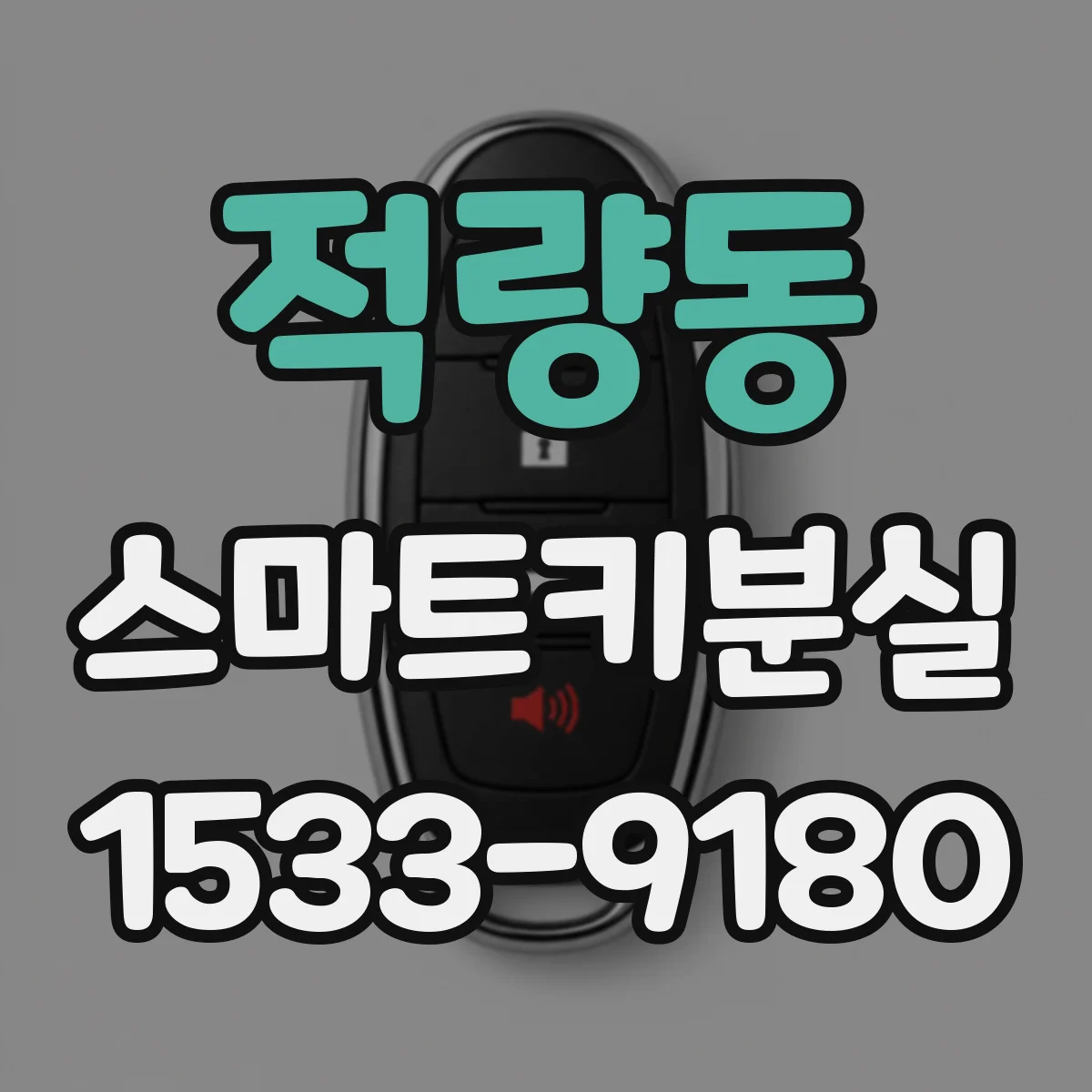 적량동 스마트키분실