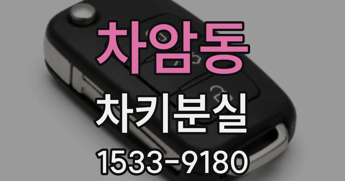 차암동 차키분실