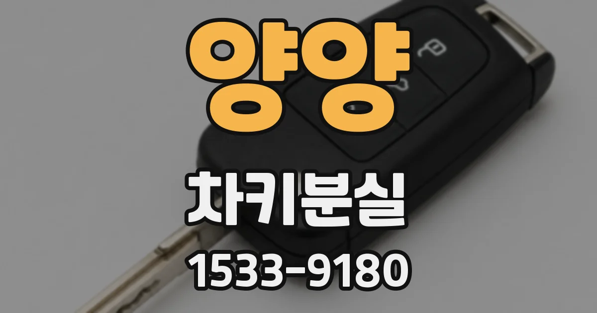 양양 차키분실