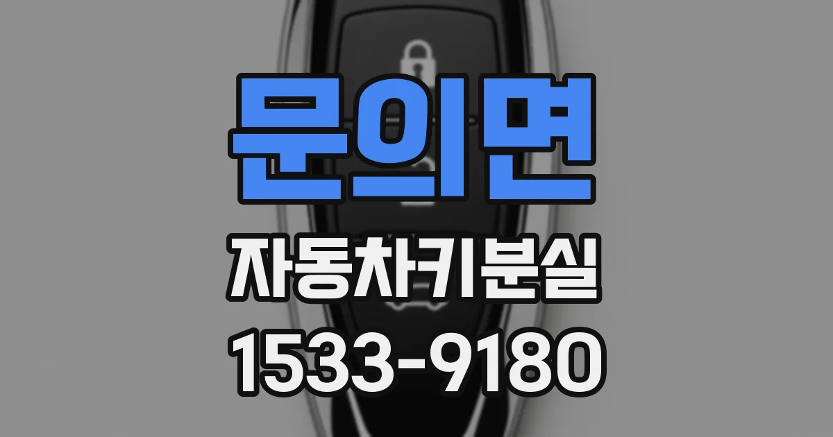 문의면 자동차키분실