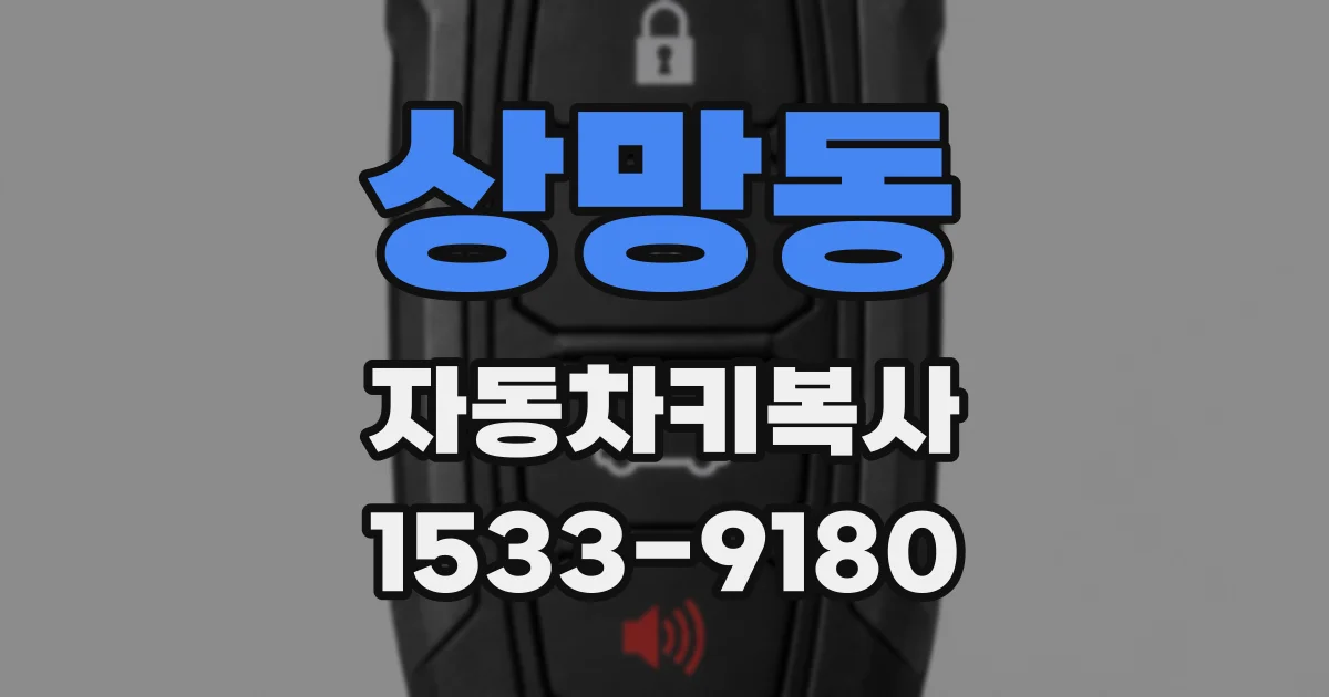 상망동 자동차키복사