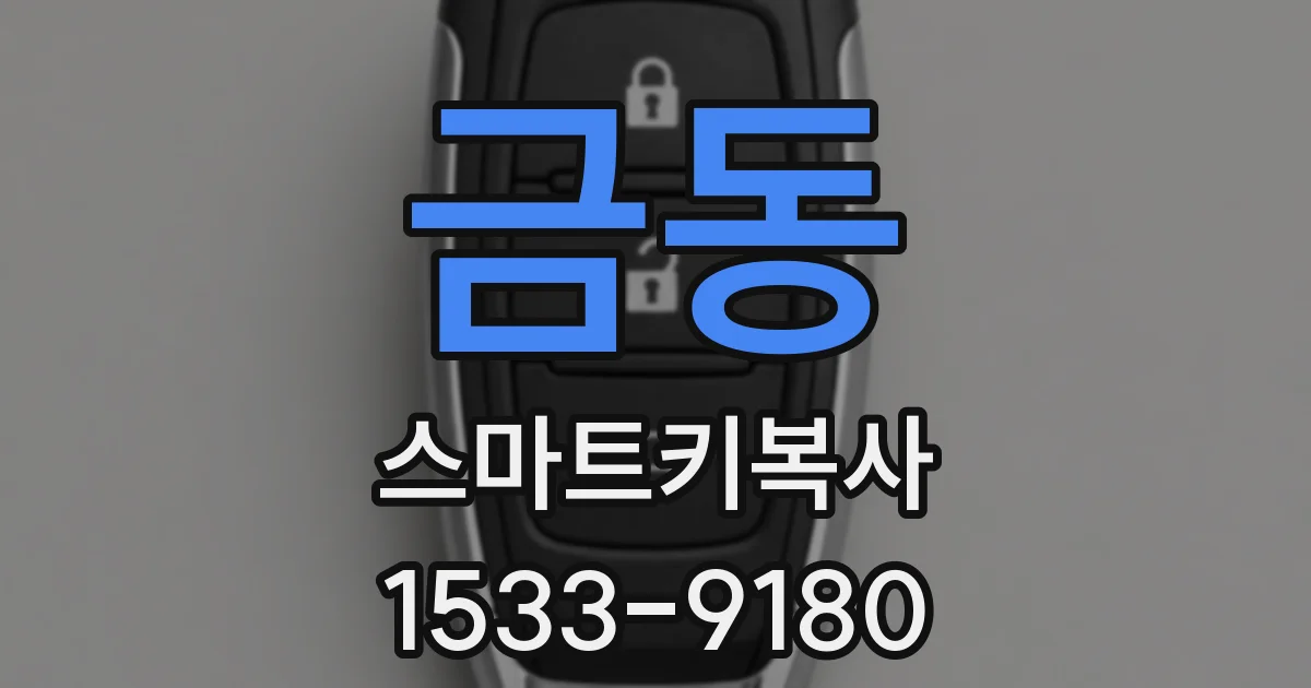 금동 스마트키복사