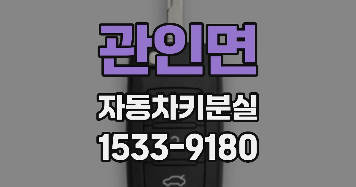 관인면 자동차키분실