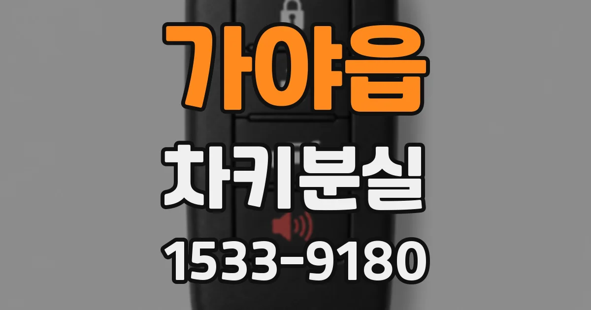 가야읍 차키분실