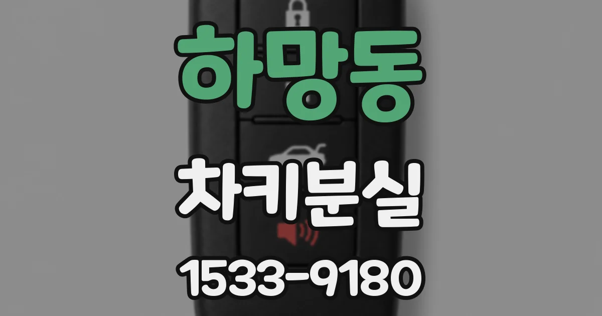 하망동 차키분실