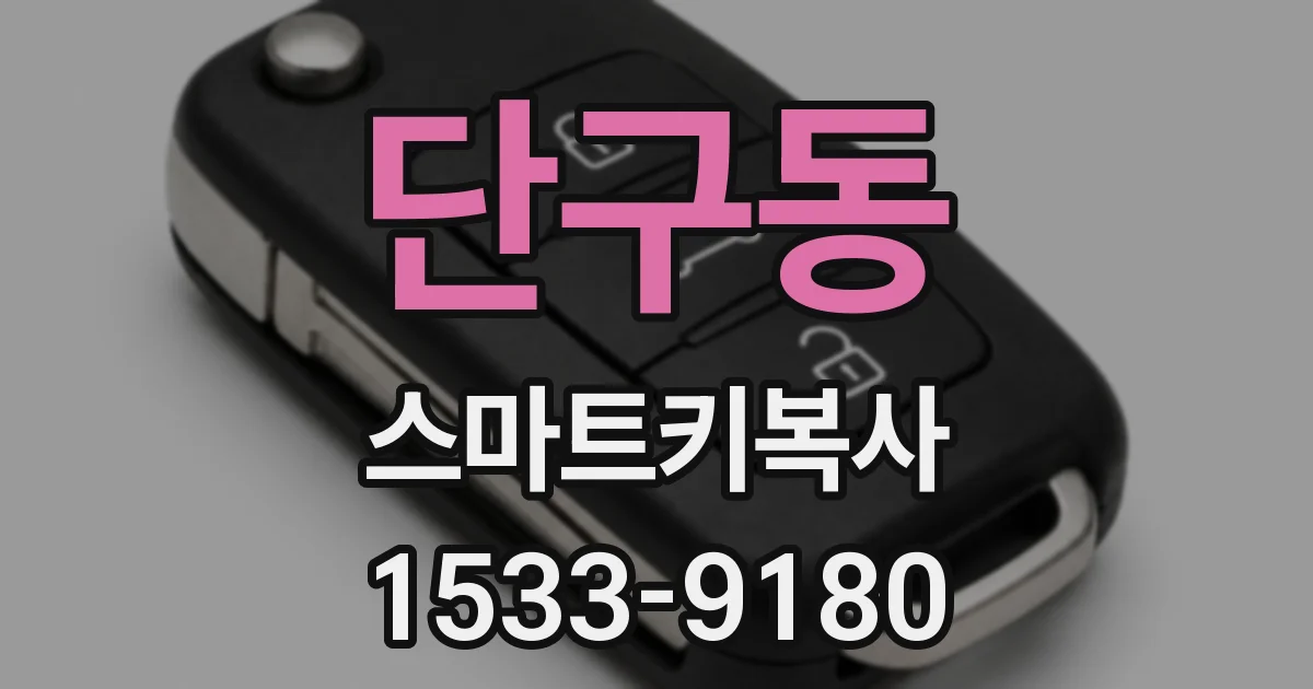 단구동 스마트키복사