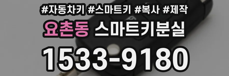 요촌동 스마트키분실
