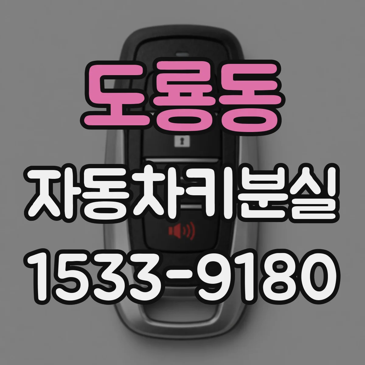 도룡동 자동차키분실