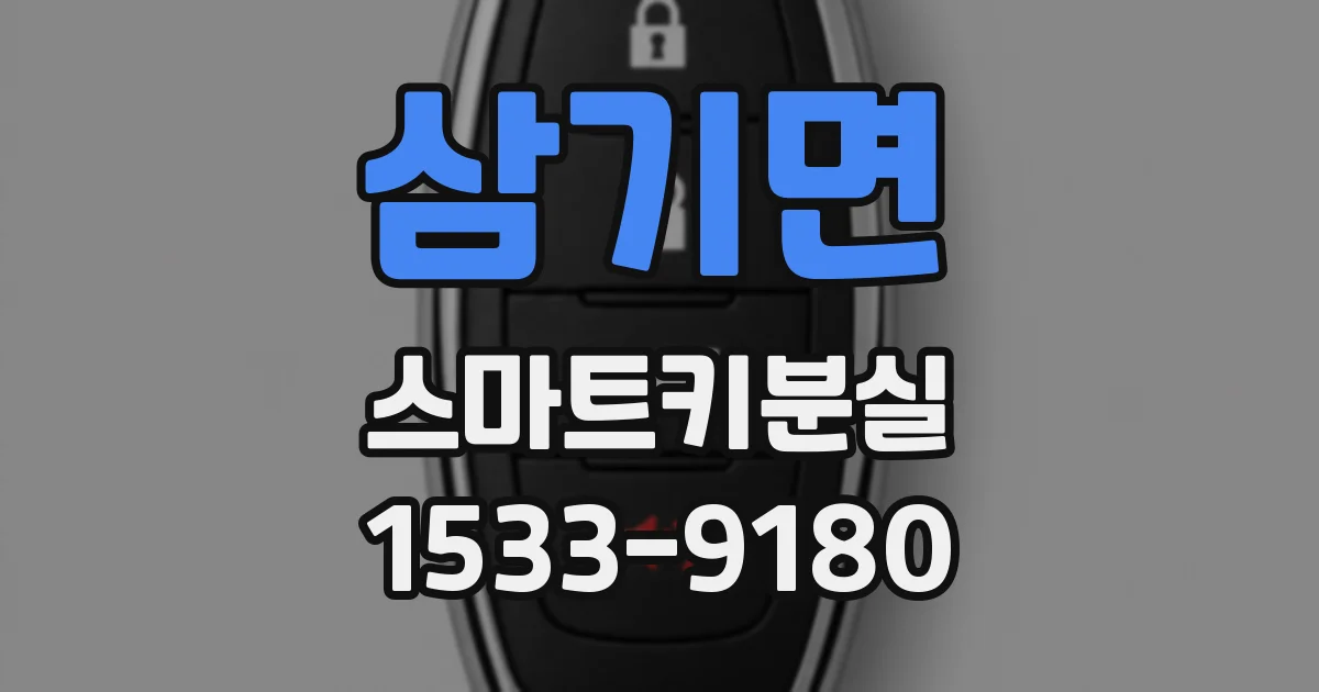삼기면 스마트키분실