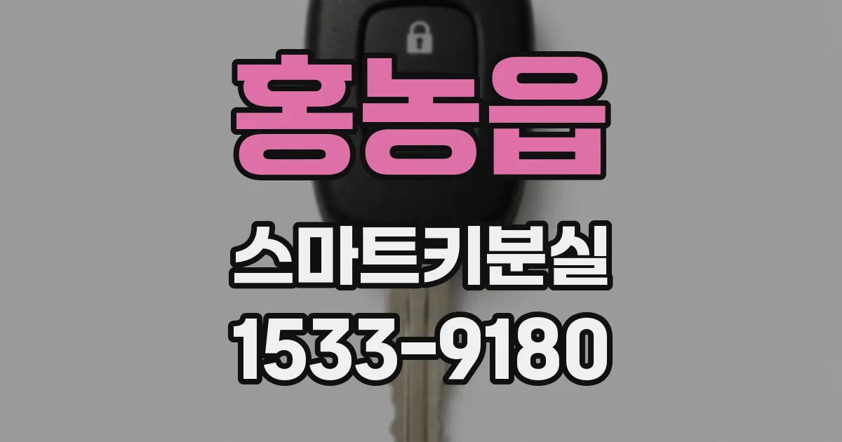 홍농읍 스마트키분실