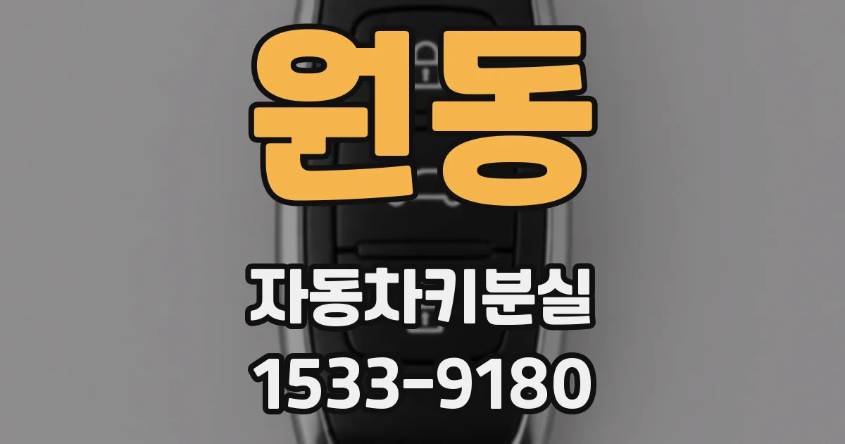 원동 자동차키분실