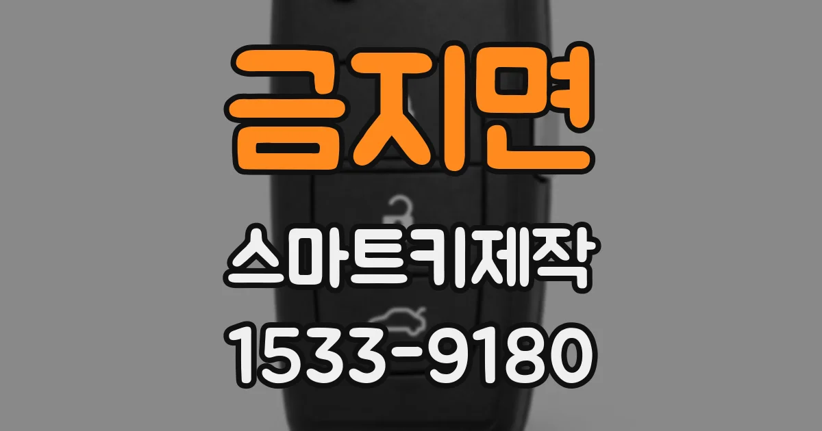 금지면 스마트키제작