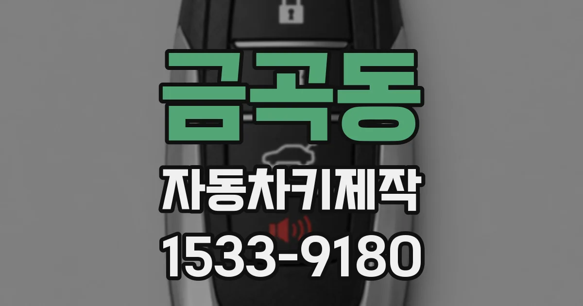 금곡동 자동차키제작