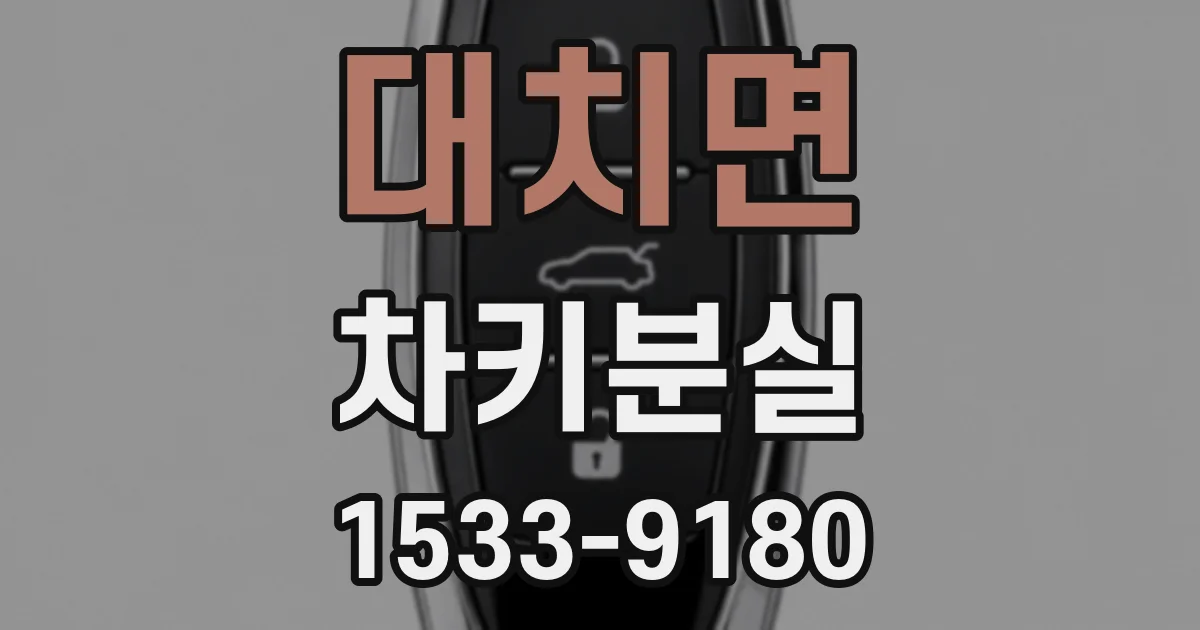 대치면 차키분실