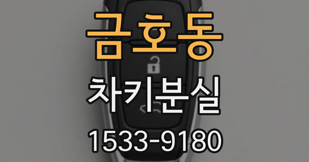 금호동 차키분실