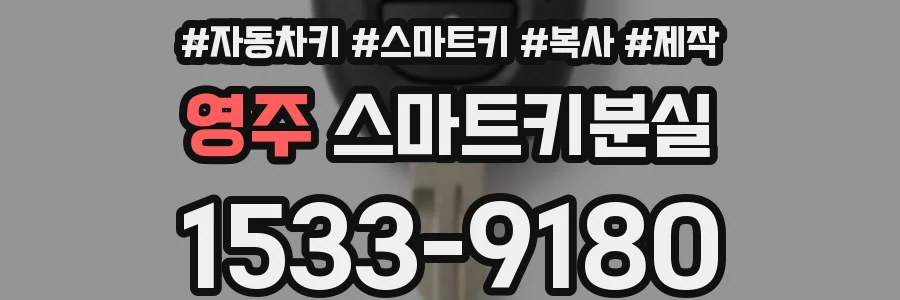 영주 스마트키분실