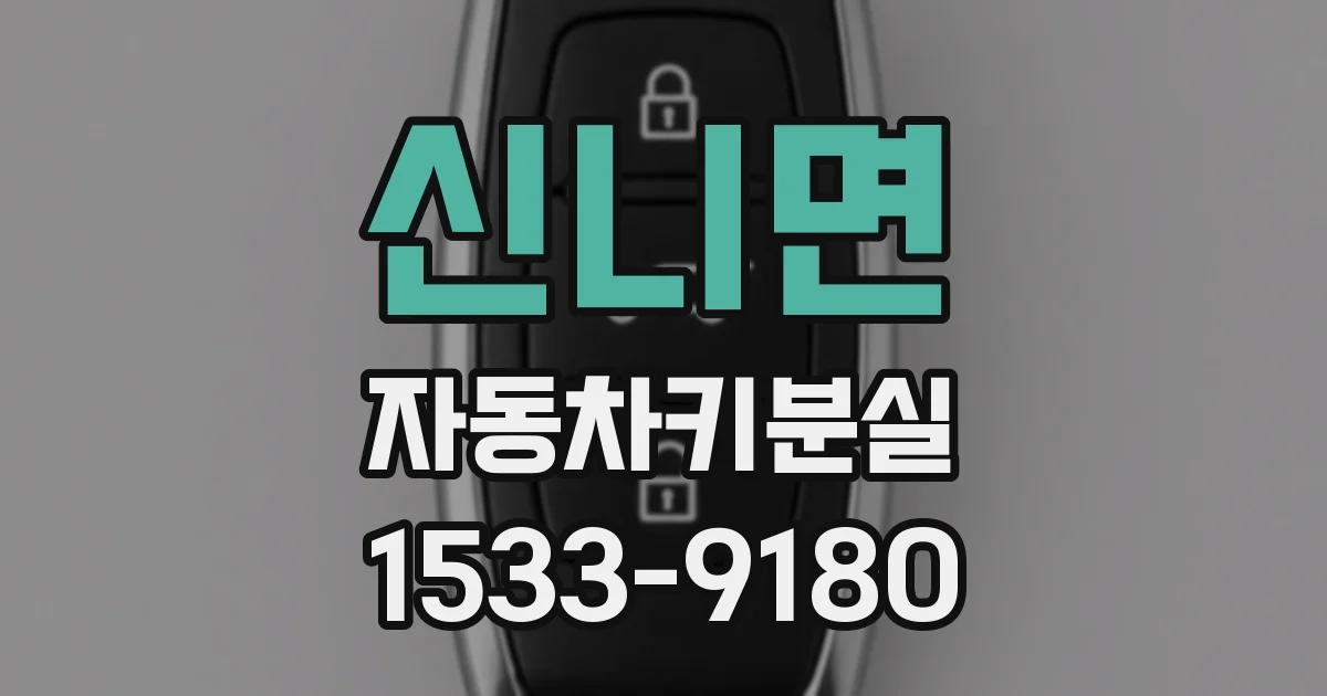 신니면 자동차키분실
