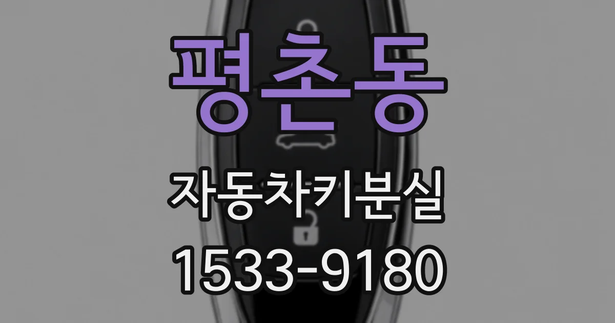 평촌동 자동차키분실