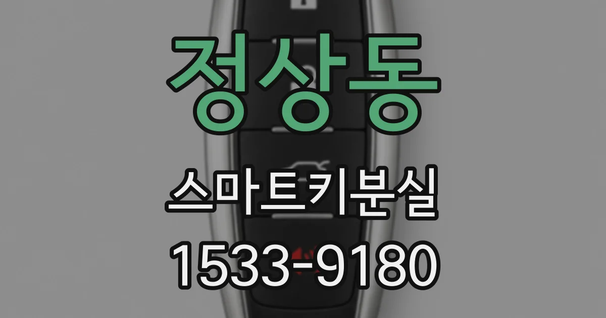 정상동 스마트키분실