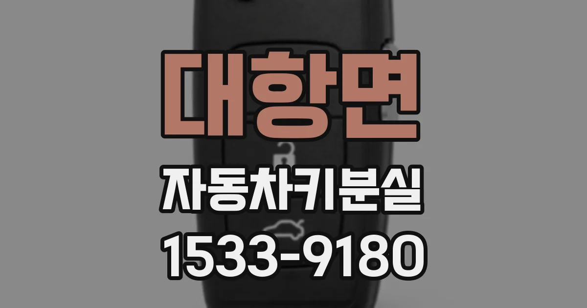 대항면 자동차키분실