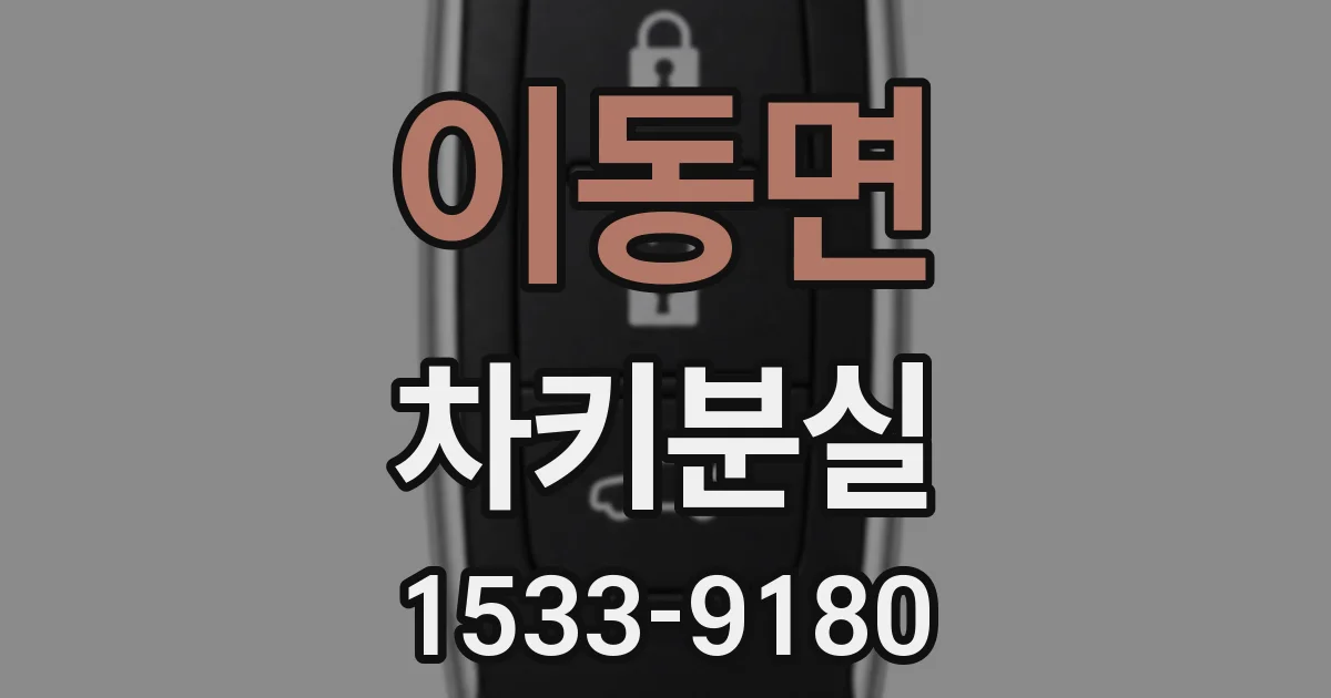 이동면 차키분실